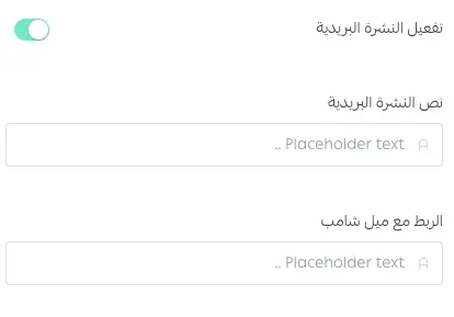 خيار تفعيل النشرة البريدية أسفل الصفحة الرئيسية
